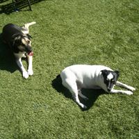 Debra Brady Photo 16