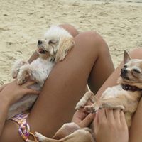 Leo Collins Photo 25