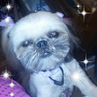 Joyce Mcclain Photo 16