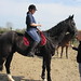 Suzanne Marshall Photo 25