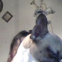 Sandra Gore Photo 23