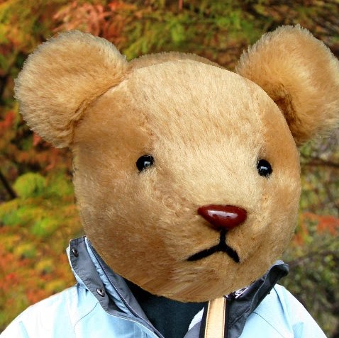 Emanuel Colon Photo 10