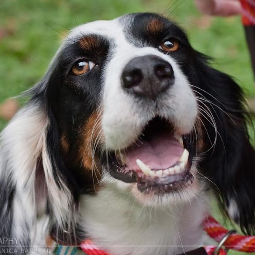 Jodi Jenkins Photo 10