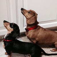 Elizabeth Stubblefield Photo 15