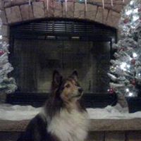 Brenda Goodman Photo 53