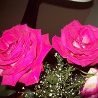 Heather Reichert Photo 19