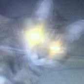 Patsy Grogan Photo 1