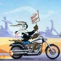 Ron Fleming Photo 15