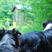 Bruce Laney Photo 6