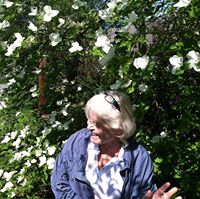 Annie Summers Photo 23