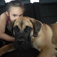 Debra Gilbreath Photo 13