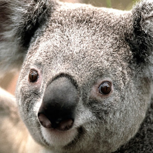 Marie Conner Photo 15