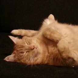 Christine Schramm Photo 7