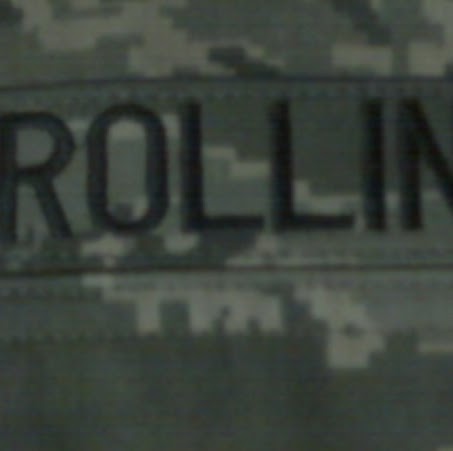Dana Rollins Photo 12
