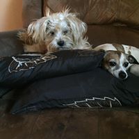 Barbara Mckay Photo 11