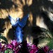 Joseph Virgilio Photo 12