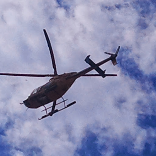 Michael Bradley Photo 43