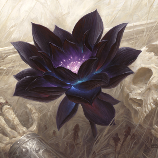 Josh Fletcher Photo 6