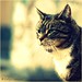 Kelly Freund Photo 11