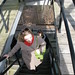 Michelle Greenfield Photo 11