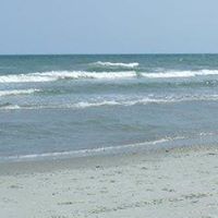 Robyn Griffin Photo 17