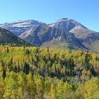 Douglas Schrader Photo 11