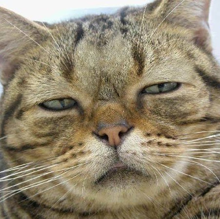 Alex Chung Photo 29 Alex Chung Photo 29