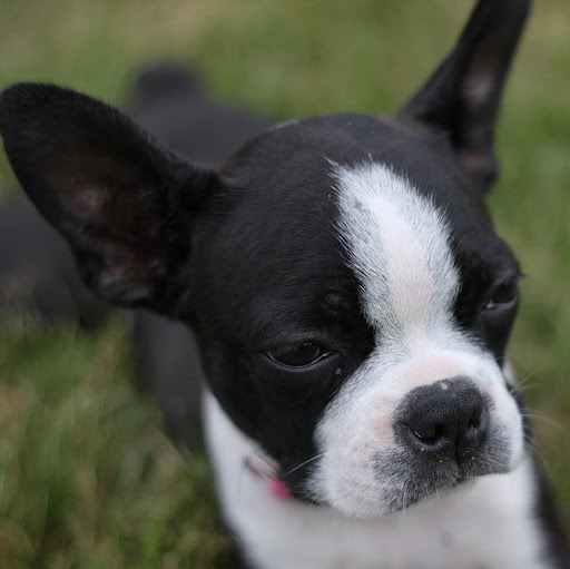 Jeremy Peake Photo 12