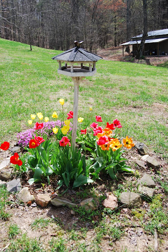Sharon Carver Photo 20