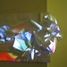 Amanda Tilford Photo 12
