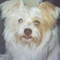 Jackie Mixon Photo 7