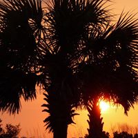 Constance Griffith Photo 13