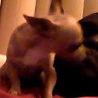 Jessie Washington Photo 18