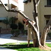 Nancy Schooler Photo 9