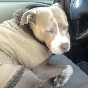 Pamela Benson Photo 46