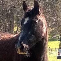 Stephanie Reynolds Photo 43 Stephanie Reynolds Photo 43