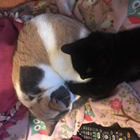 Caroline Floyd Photo 34