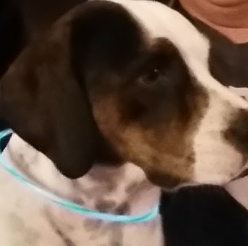 Thomas Cummings Photo 18