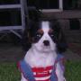 Annette Green Photo 9