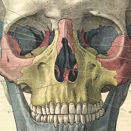 John Finegan Photo 34