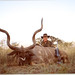 David Schrader Photo 36