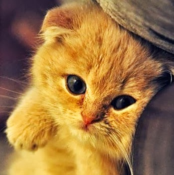 Xiang Zheng Photo 13