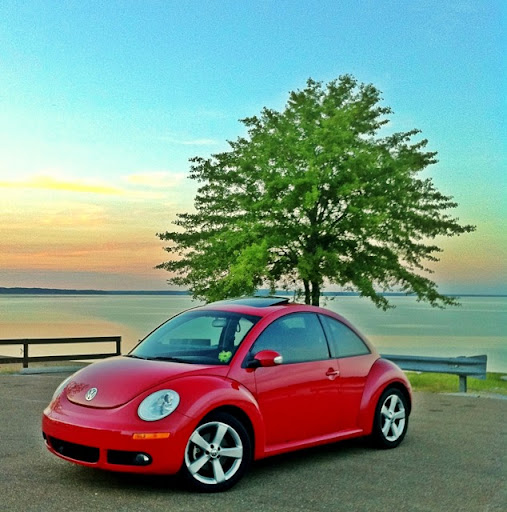 Brooke Simmons Photo 22