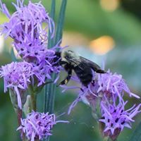 Elizabeth Orth Photo 11