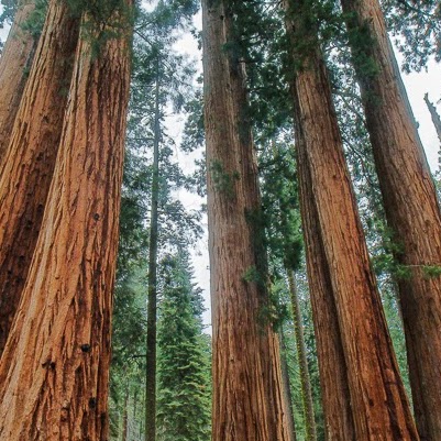 Paul Vollmer Photo 26