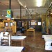Susan Fish Photo 21