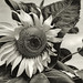 Kelley Groves Photo 20