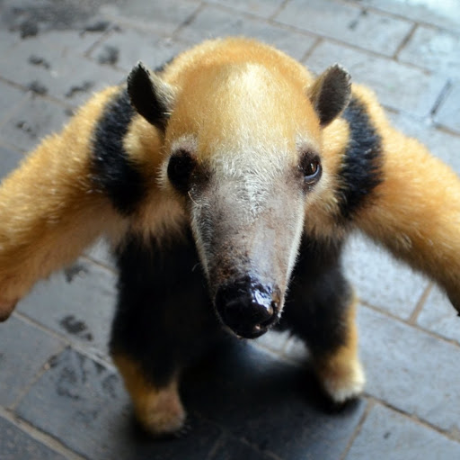 Eddie Rogers Photo 30