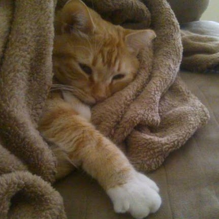 Steven Swarts Photo 6