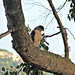 Nan Hawks Photo 12